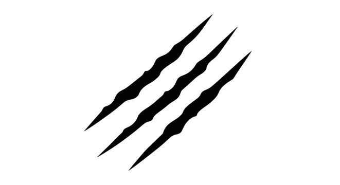 Black Claw Marks on White Background.
