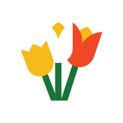 Vibrant yellow and red tulips with green stems and a bud set against a clean white background minimalist floral design