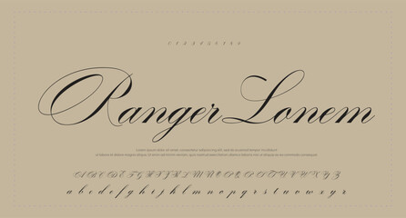 Script Brush Font Type Font lettering handwritten. vector illustration 