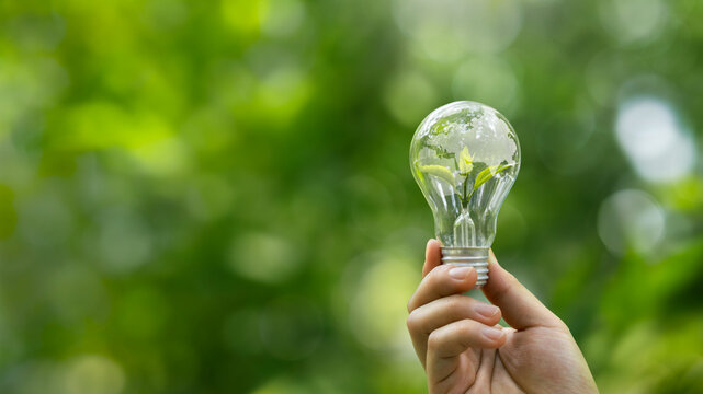 Sustainable Environment concept. ESG, green energy. Carbon emission low neutral, net zero, renewable energy, Green business, Climate neutral long term strategy on a green background.