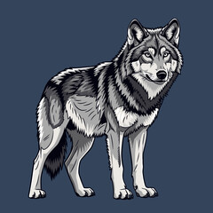 Illustration of a Standing Gray Wolf.