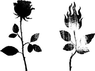 Fototapeta premium Contrasting rose and flame ink illustration for retro art design