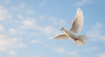 Obraz premium White Dove Flying Over Calm Blue Sky – Universal Symbol of Peace and Freedom Concept