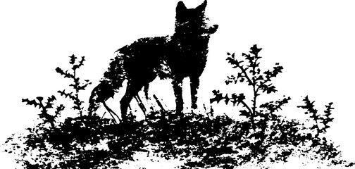 Obraz premium Wolf and thorn circle illustration in high contrast black and white ink