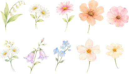 Set of delicate watercolor spring flowers isolated on light background. Perfect for Easter designs, Mother&rsquo;s Day cards, invitations, stickers and floral compositions