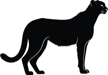 Collection of black cheetah silhouette in a standing pose featuring a long tail and lean body for wildlife conservation safari animal mascots and leadership branding © MstAnkhi