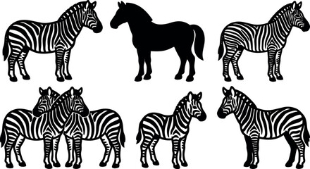 Fototapeta premium Vector silhouette zebra collection side view group pair foal adult standing isolated flat black and white graphic set line art