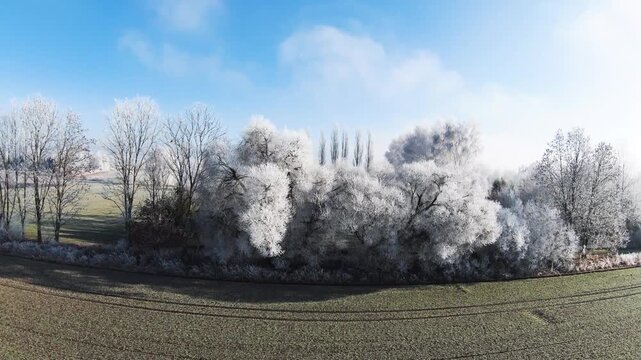 Diese stimmungsvolle Aufnahme zeigt die winterliche Pracht bei Illertissen. M&auml;chtige B&auml;ume, deren filigrane Zweige vollst&auml;ndig von glitzerndem Raureif &uuml;berzogen sind, bilden einen strahlend wei&szlig;en Kon