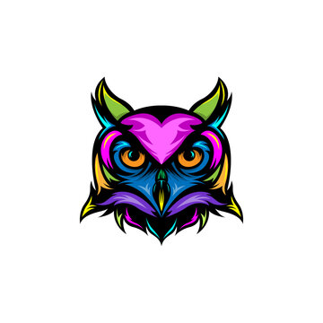 Colorful Owl Head Vector Illustration with Bold Line Art Style