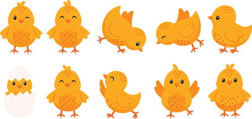 Cute baby chick cartoon poses collection farm bird vector illustration set © EdGe Creative