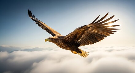 Obraz premium Eagle Soaring Above Clouds in Flight.