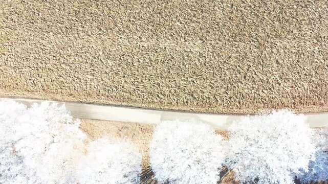 Diese stimmungsvolle Aufnahme zeigt die winterliche Pracht bei Illertissen. M&auml;chtige B&auml;ume, deren filigrane Zweige vollst&auml;ndig von glitzerndem Raureif &uuml;berzogen sind, bilden einen strahlend wei&szlig;en Kon