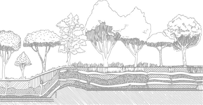 Cross section of soil layers with trees and grass above in a sketched style