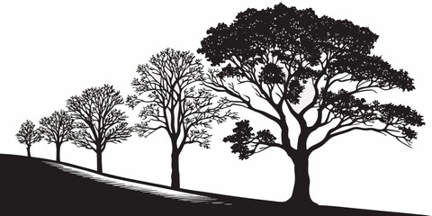 A serene landscape featuring a group of trees with intricate branches and foliage Vector © Abu