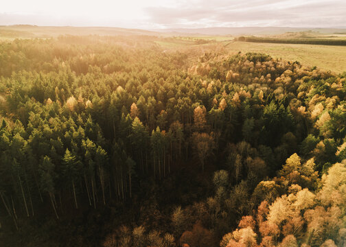 A drone captures a view of green fields in Northumberland near Hexham. The landscape features trees and woodlands in the distance. Flying into the sunset