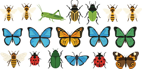 Butterflies bees and beetles collection with colorful insects and nature wildlife illustration set © EdGe Creative