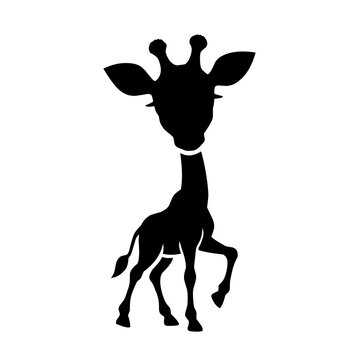 silhouette of a man with a giraffe