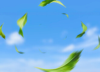 Green Leaves Flying in Blue Sky with Soft Clouds Background