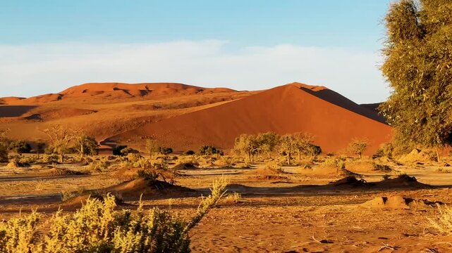 deadvlei in Namibia car trip with a tent