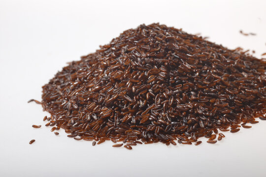 Flohsamen,  Wegericharten,  Plantago indica