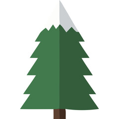 Obraz premium Green Pine Tree