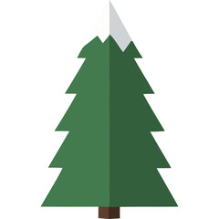 Fototapeta premium Green Pine Tree