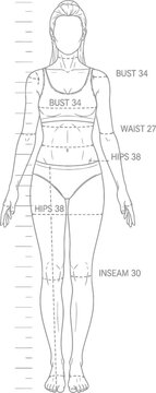 Female Body Measurement Illustration