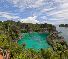 Fototapeta premium Etoile à Raja Ampat en Papouasie Occidentale