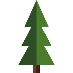Obraz premium Green Pine Tree