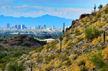 Downtown Phoenix Arizona with mountains and Wild Desert Cactus © Lane Erickson