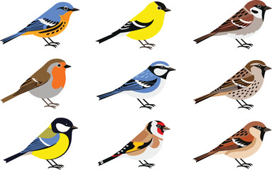 Small garden birds collection with sparrow robin finch and colorful wildlife illustrations © EdGe Creative