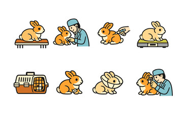 Fototapeta premium Veterinary care for rabbits: health check and treatment icons
