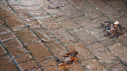 Rainwater flows over cobblestone street with fallen leaves scattered