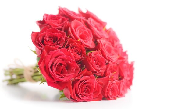 Beautiful Fresh Red Roses Bouquet on White Background