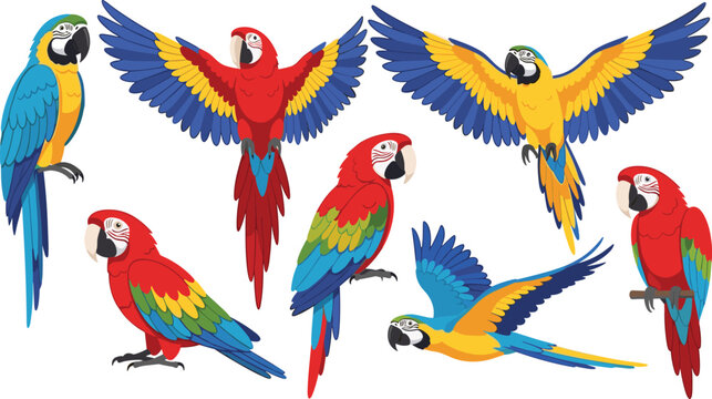 Colorful macaw parrot collection with tropical birds flying and perched wildlife illustrations