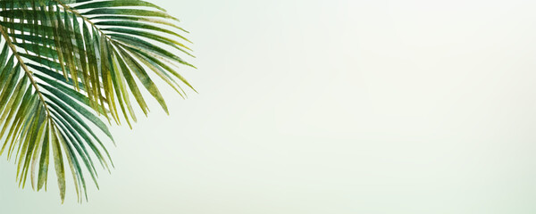 Watercolor palm leaves creating a fresh tropical border, ideal for summer backgrounds, natural designs, vacation themes, or botanical illustrations with copy space © Narin