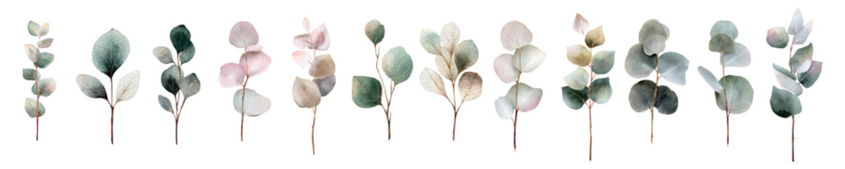 Watercolor eucalyptus branches and leaves in soft green, pink, and gray tones, hand painted collection ideal for botanical designs, wedding stationery, and elegant floral art © Narin