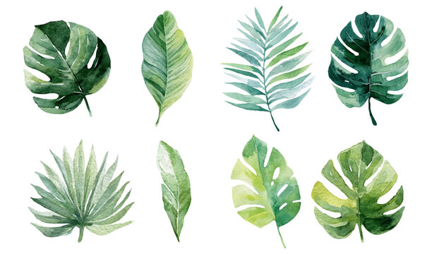 Various watercolor tropical leaves, including monstera and palm fronds, forming a vibrant botanical illustration on a white background, perfect for summer designs and themes