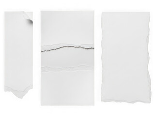 Torn paper pieces with rough edges isolated on a transparent background ripped white