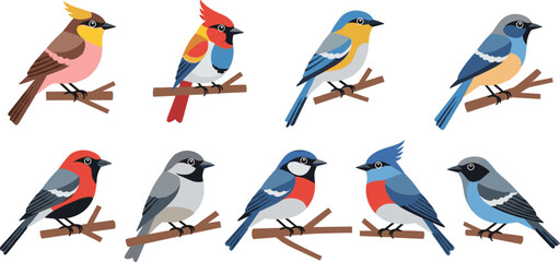 Colorful Birds on Branches Vector Set Featuring Various Species and Vibrant PlumageColorful Birds on Branches Vector Set Featuring Various Species and Vibrant Plumage © MdJillur
