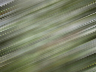 Abstract Digital Manipulation Background: Vibrant Geometric Textures and Ethereal Light Patterns