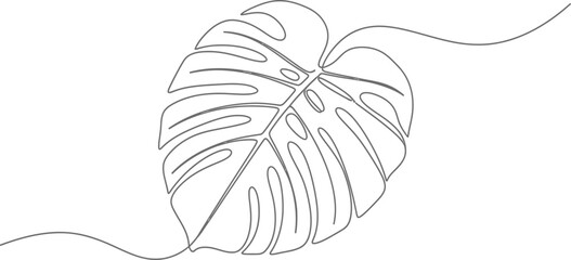 Simple continuous line drawing of a monstera leaf on white background © Bhai