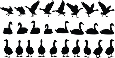 Black Waterfowl Silhouette Vector Set Featuring Geese Swans and Ducks in Various Poses Including Flying Swimming Standing and Walking for Nature Graphic Design Projects © IconicCreations