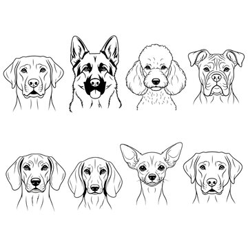 Black and white line art illustration of multiple dog breeds