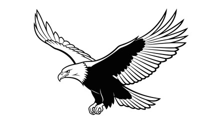 Obraz premium bald eagle flying isolated