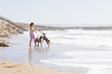 Woman playing with dogs on sunny ocean beach