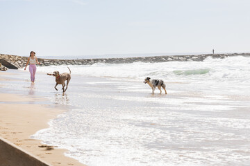 Woman playing with happy dogs on beach during vacation