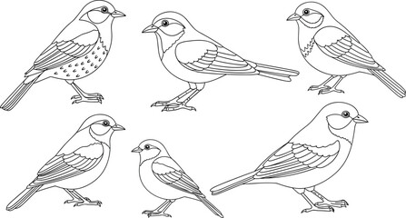 Fototapeta premium A collection of six detailed bird illustrations on transparent background