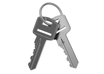 Two metal keys on a ring silver isolated on a transparent background