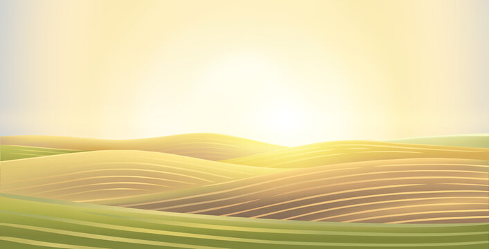 Hilly agricultural landscape, with cultivated by agriculture fields and hills,  sunrise (or sunset) sun above the horizon. Raster illustration.